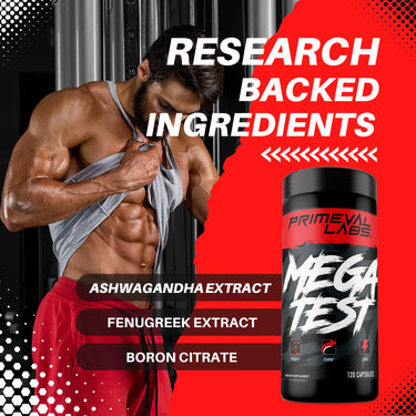 MEGA TEST